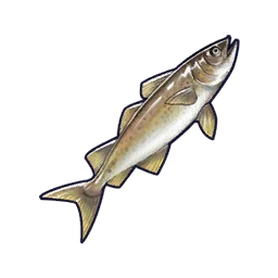 Cod