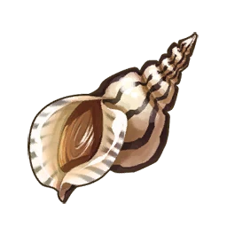Conch