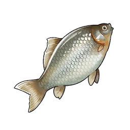 Crucian