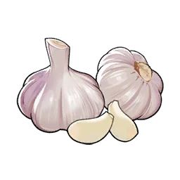 Garlic