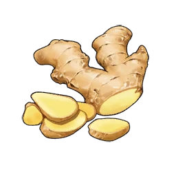 Ginger