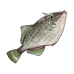 Greenfin Filefish