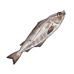 Haddock