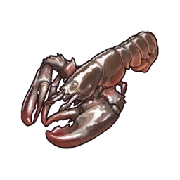 Lobster