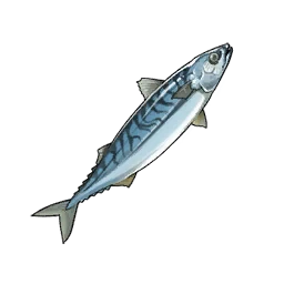Mackerel