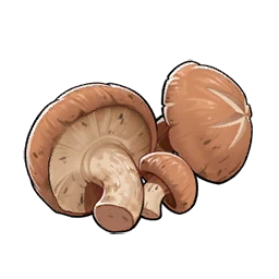 Mushroom