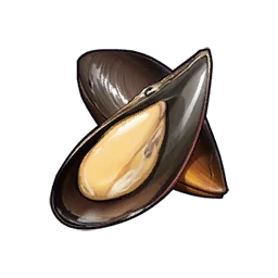 Mussel