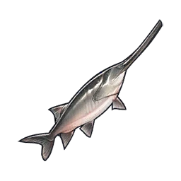 Paddlefish