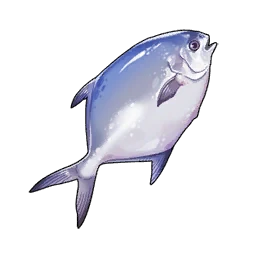 Pomfret