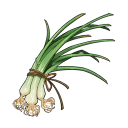 Scallion