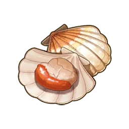 Scallop