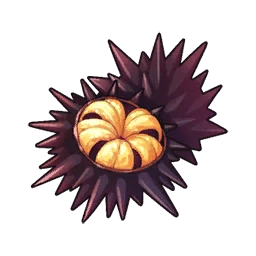 Sea Urchin