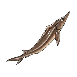 Sturgeon