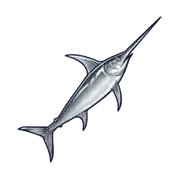 Swordfish