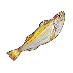 Thunderfish