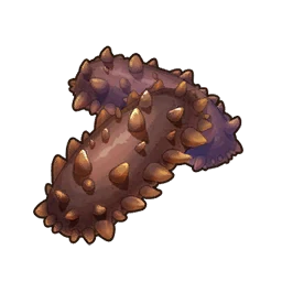 Trepang