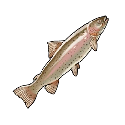 Trout