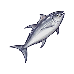 Tuna