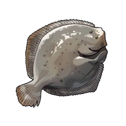 Turbot